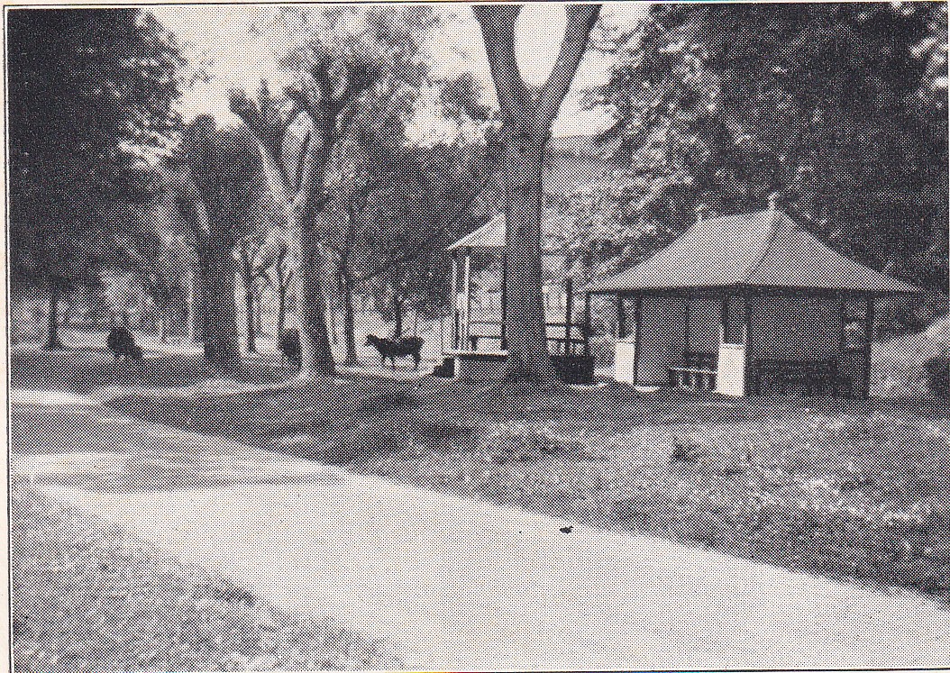 Coulson Park with bandstand and shelter
