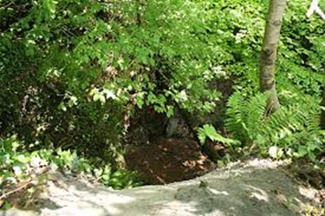 Lostwithiel iron mine gunnis