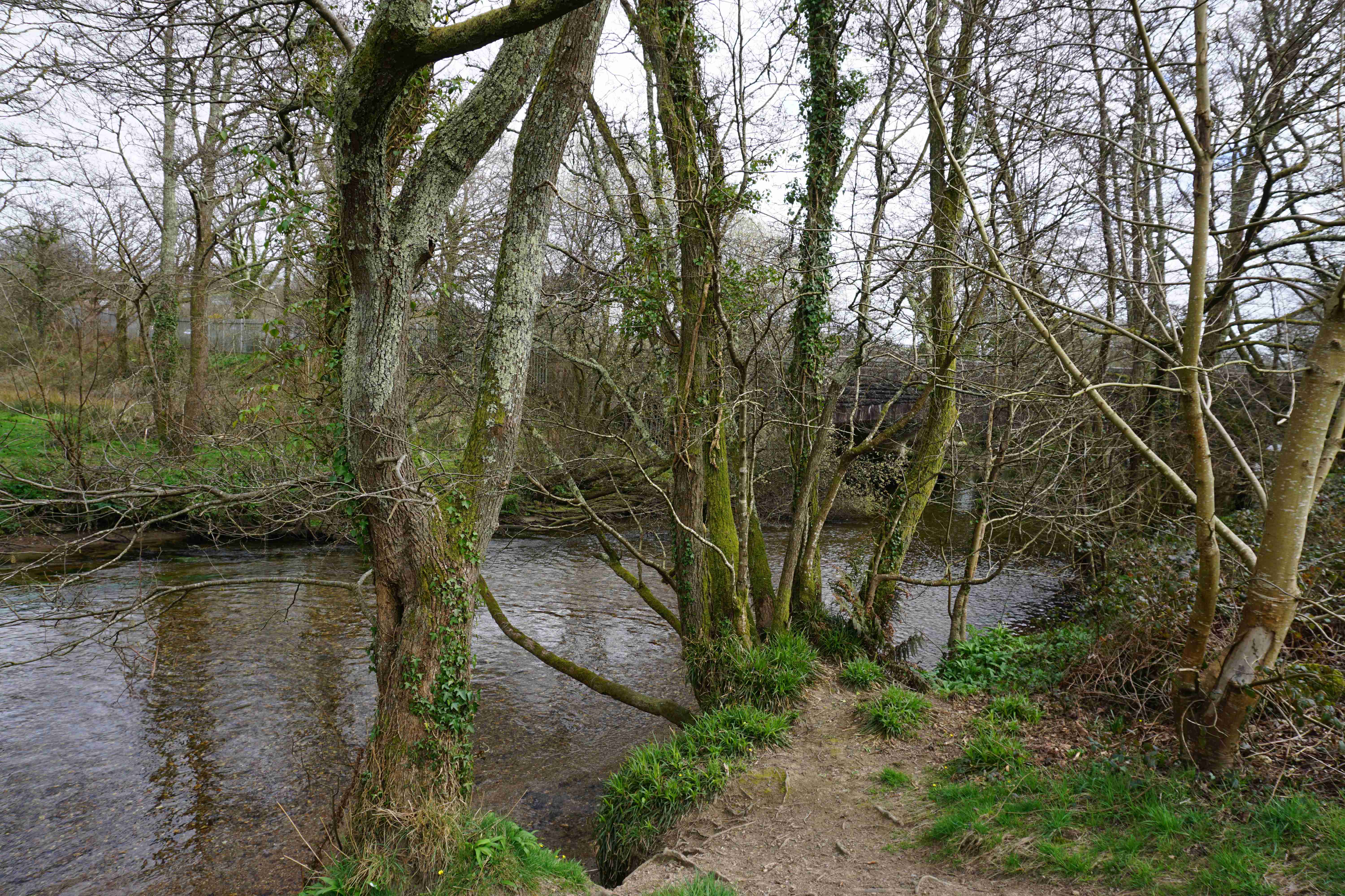 Lostwithiel Second Island Park